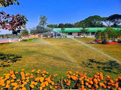 সবুজ প্রান্তরের একাংশ - বিইউপি