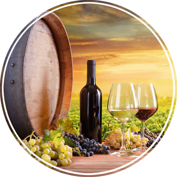 Spanish Agriculture