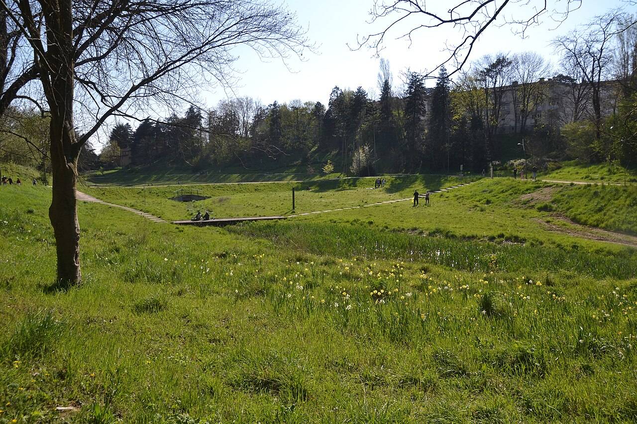 Parc du Vallon (La Duchère)