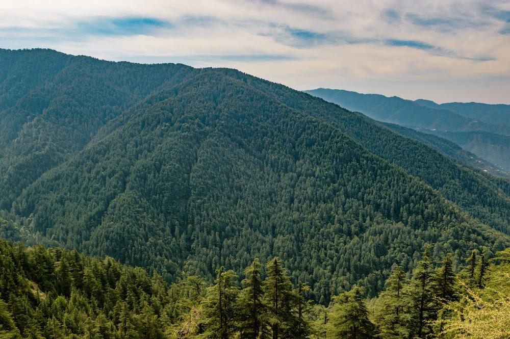 Hassan Valley, Shimla