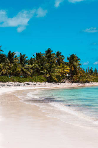 An image of a travel and landscape in a beach with a calm atmosphere.
