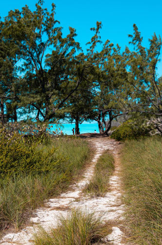 An image of a landscape, travel, and nature engaged in walking in a beach.