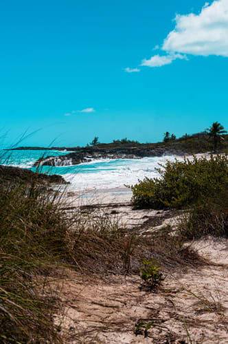 An image of a landscape, travel, and nature in a beach.