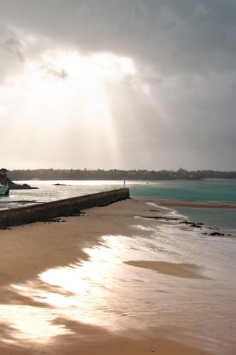 An image of a landscape and travel in a beach with a moody atmosphere.