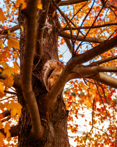 An image of a nature and abstract in a forest.