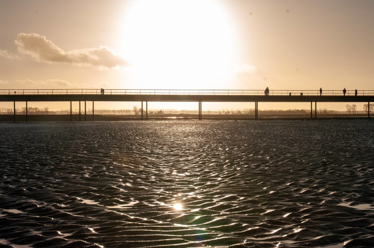 An image of in a sunrise.