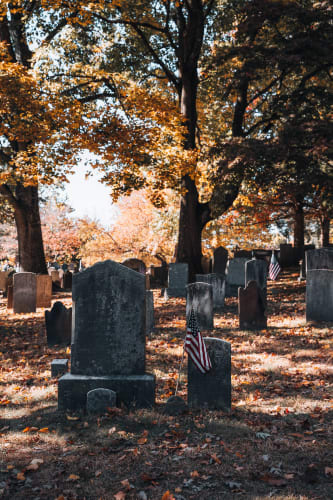 An image of a travel engaged in walking in a park with a poetic atmosphere.
