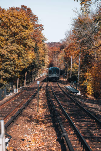 An image of a travel and landscape engaged in running in an outdoor setting.