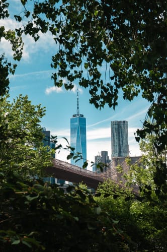 An image of a cityscape, urban, and architecture in a park.