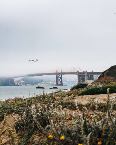 An image of a travel, cityscape, and landscape engaged in walking in a landmark.
