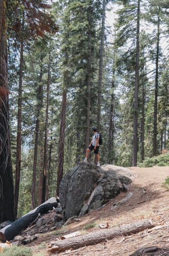 An image of showing sport in a forest.