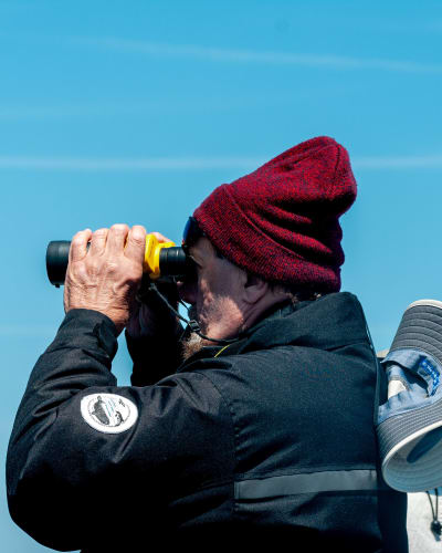 An image of a self-portrait, travel, and wildlife engaged in working.