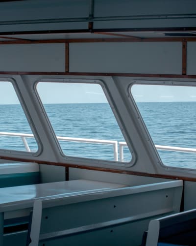 An image of a travel and interior in a summer with a introspective and calm feel.