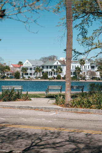 An image of a street, urban, cityscape, and gardens in a park.