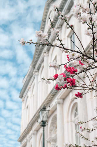 An image of a architecture in an outdoor setting.