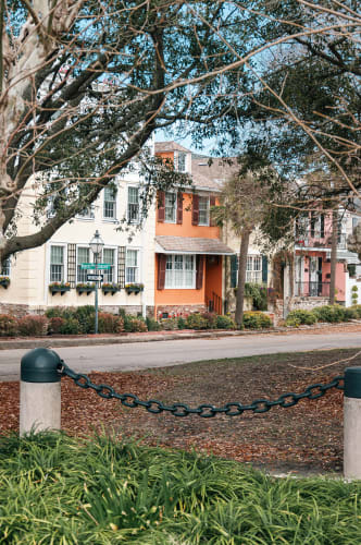 An image of a street, gardens, architecture, and urban in a park.