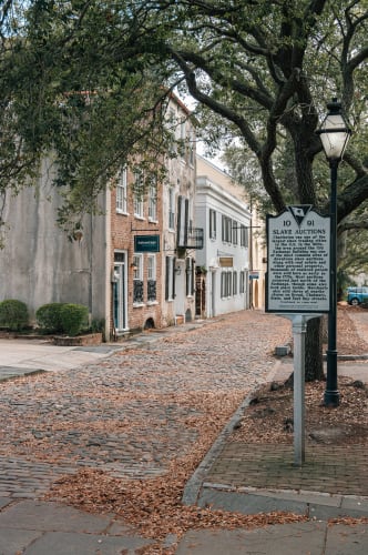 An image of a street, gardens, and urban in a landmark.