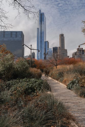 An image of a cityscape, gardens, and landscape in a park.