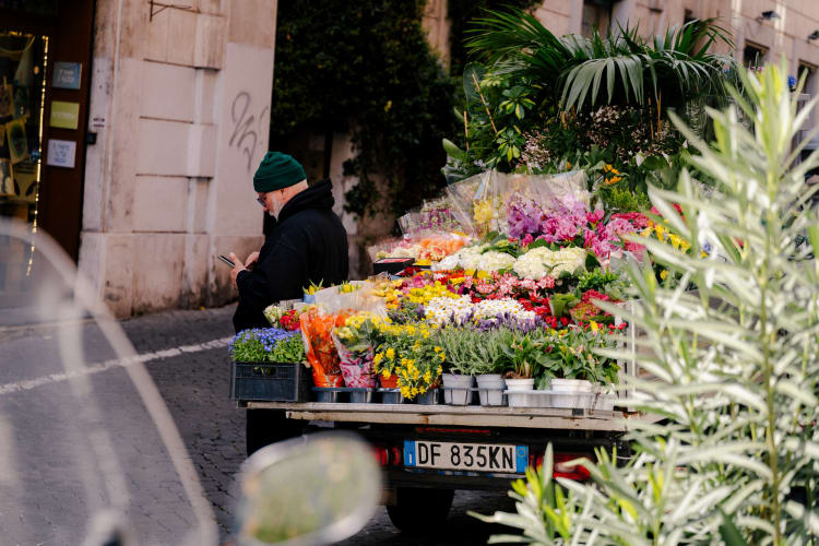 An image of a gardens and street engaged in working in a summer.