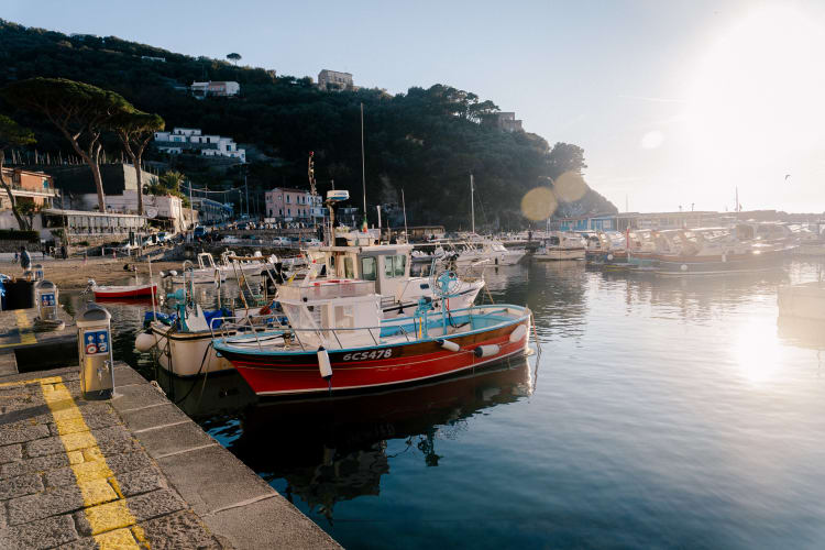 An image of in a sunrise with a calm atmosphere.