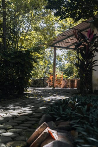 An image of a landscape in a garden with a serene atmosphere.