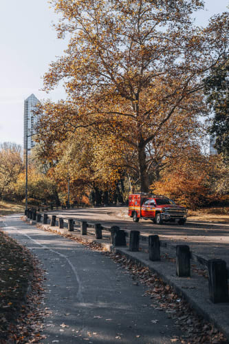 An image of a street and cityscape engaged in running in a park.