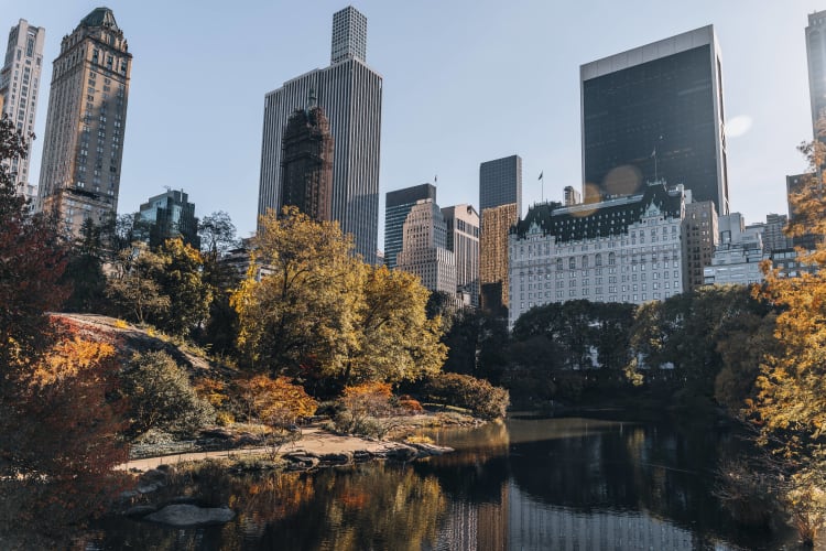 An image of a cityscape, urban, and gardens in a park.