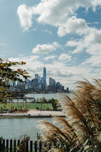 An image of a cityscape, urban, landscape, and gardens in a park.