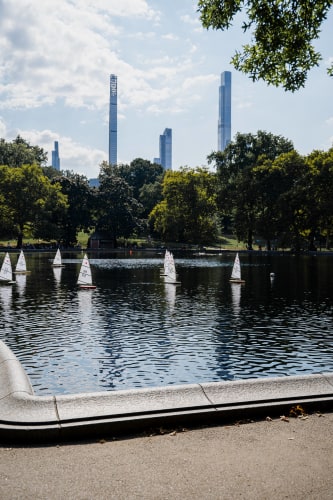 An image of a cityscape and landscape engaged in reading in a park.