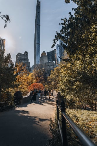 An image of a cityscape and street engaged in walking in a park.