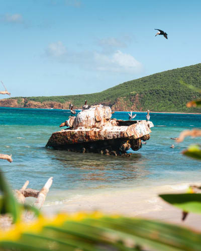 An image of a travel and landscape in a beach with a calm atmosphere.