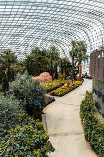 An image of a gardens, interior, and travel in an indoor setting.