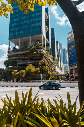 An image of a cityscape, street, and architecture in a landmark.
