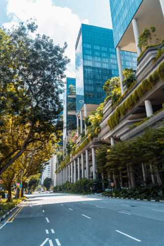 An image of a cityscape, street, gardens, and architecture in a park.