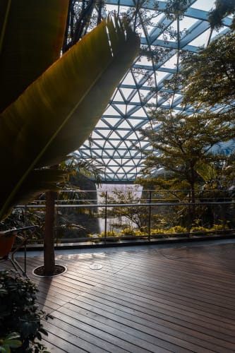 An image of a gardens and architecture in an indoor setting.