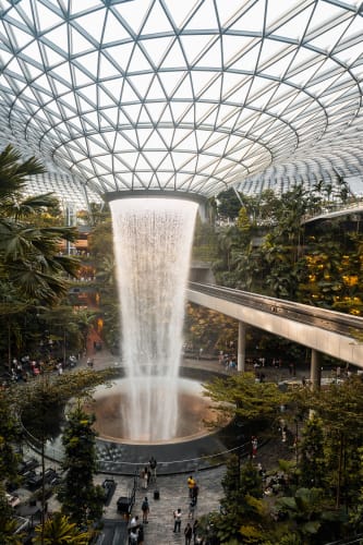 An image of a gardens and architecture in an indoor setting.