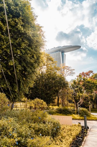 An image of a gardens and travel in a park.