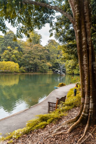 An image of a gardens and landscape in a park with a serene and calm feel.