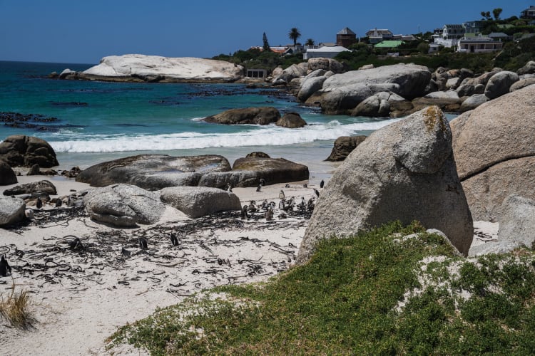 An image of a landscape, wildlife, and travel in a beach.