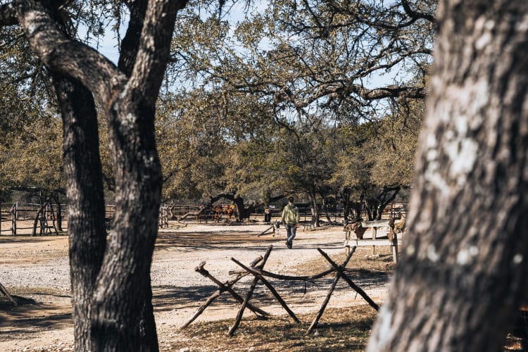 An image of a landscape, gardens, and wildlife in a park.