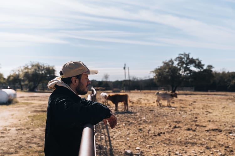 An image of a landscape engaged in working with a introspective atmosphere.