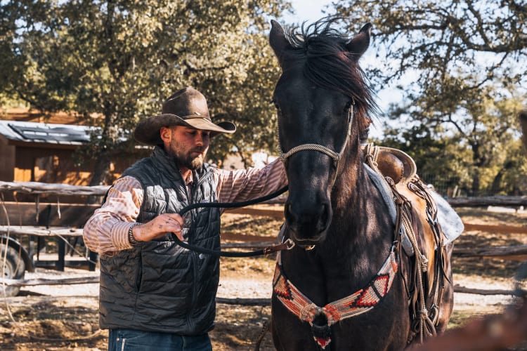 An image of a wildlife engaged in working.