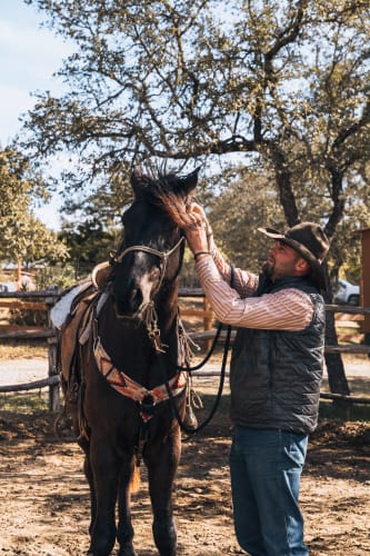 An image of a wildlife engaged in working.