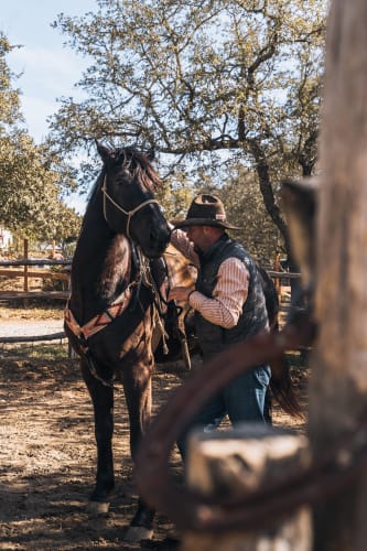 An image of a lifestyle engaged in working with a romantic atmosphere.