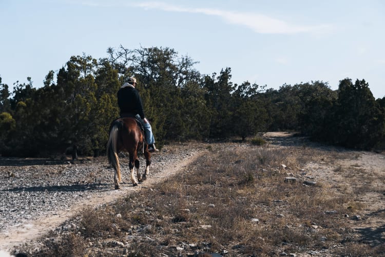 An image of a travel and landscape engaged in running in an outdoor setting.