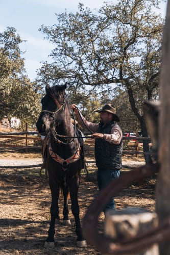 An image of showing meeting with a happy and humorous feel.