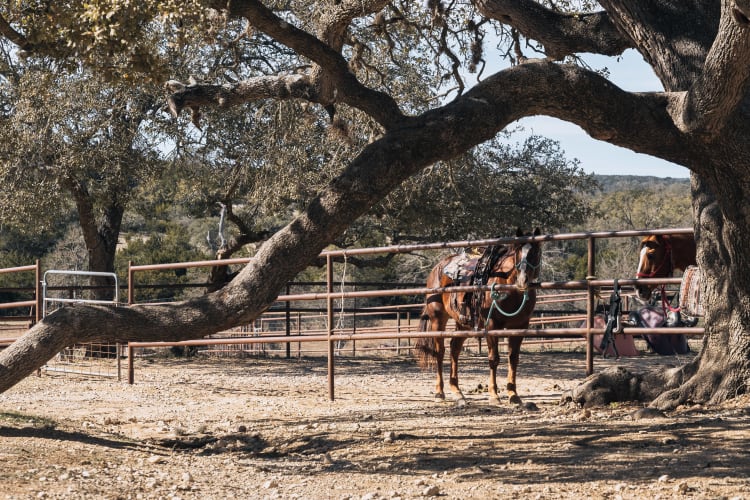 An image of a travel and wildlife in an outdoor setting with a energetic and joyful feel.