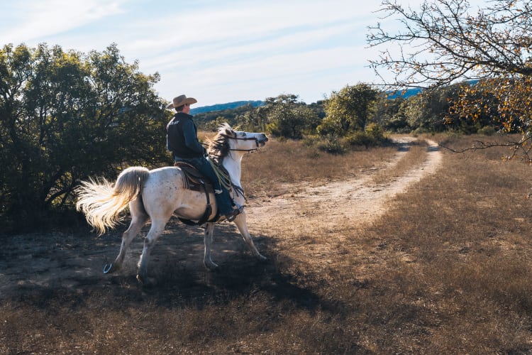 An image of a travel engaged in running in an outdoor setting.