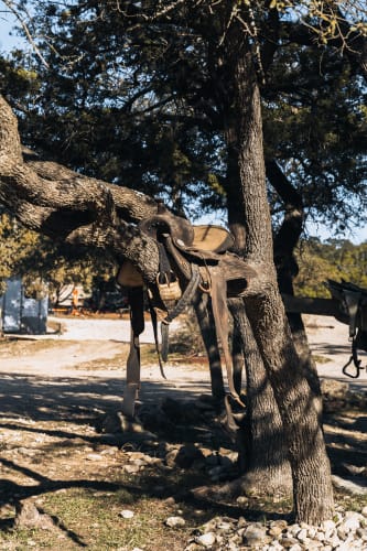 An image of a travel engaged in dancing in a park.