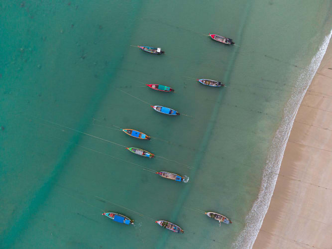 An image of a travel and wildlife engaged in sport in a beach with a calm atmosphere.